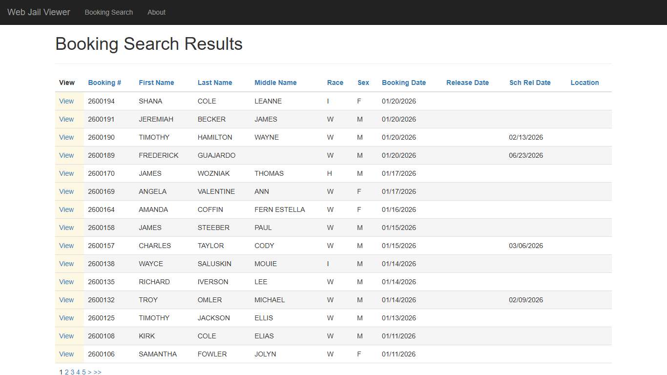 BookingSearchDetail - Web Jail Viewer
