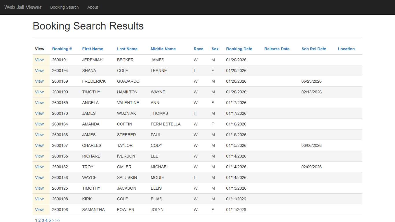 BookingSearchDetail - Web Jail Viewer