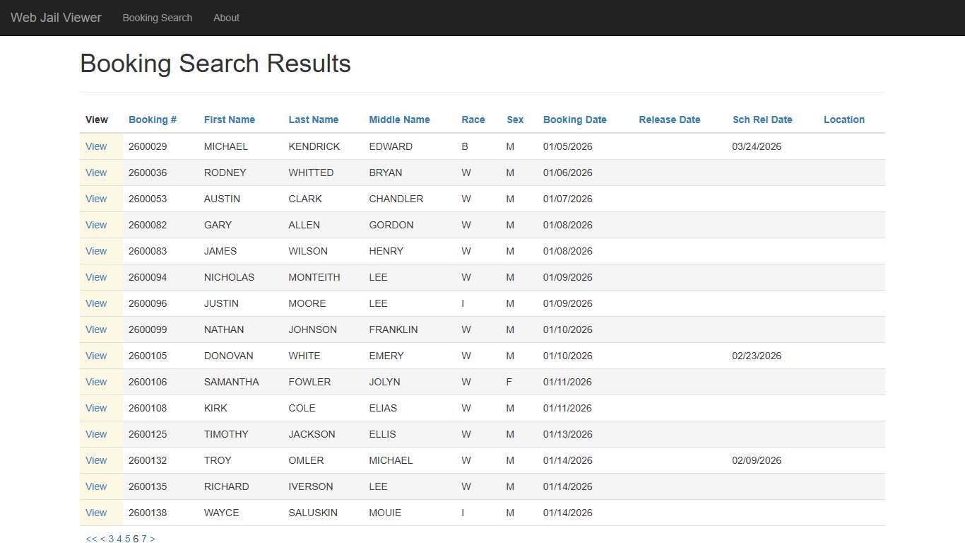 BookingSearchDetail - Web Jail Viewer