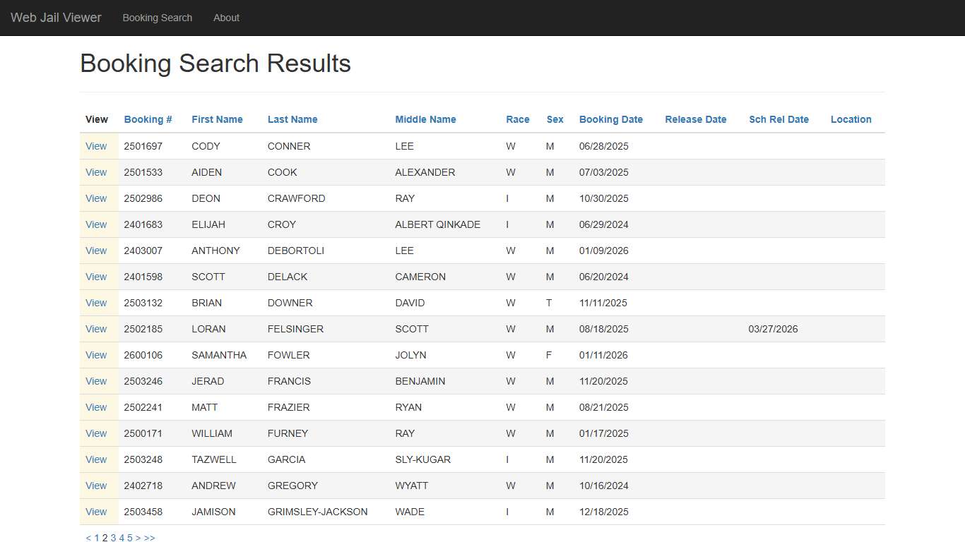 BookingSearchDetail - Web Jail Viewer